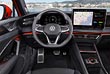   Volkswagen Tiguan.  #15