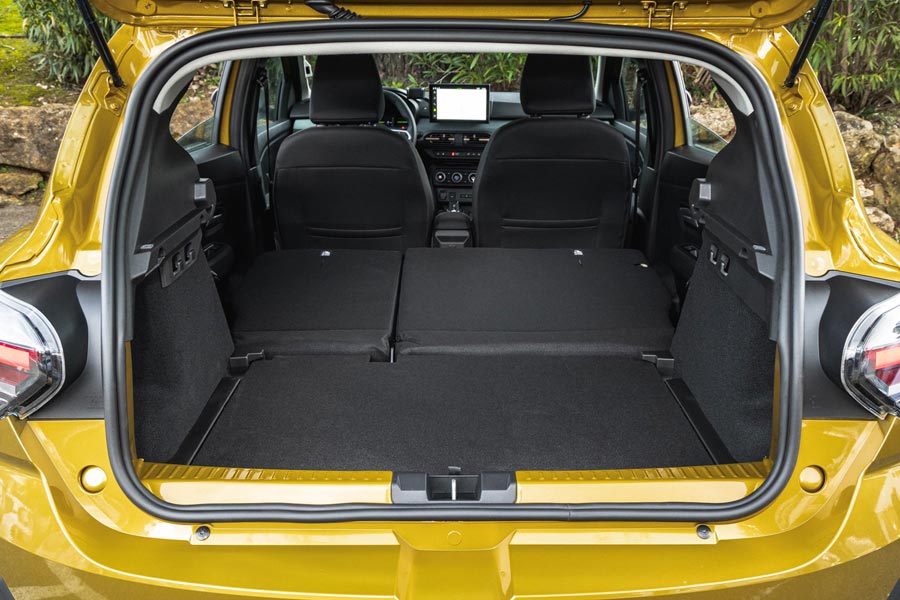 ���� ������ Dacia Sandero Stepway. �������� Dacia Sandero Stepway