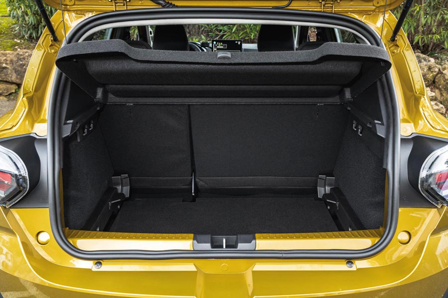 ���� ������ Dacia Sandero Stepway. �������� Dacia Sandero Stepway