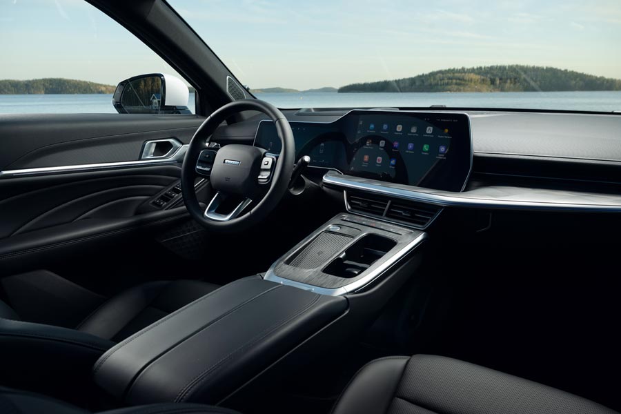   Haval F7x.  Haval F7x