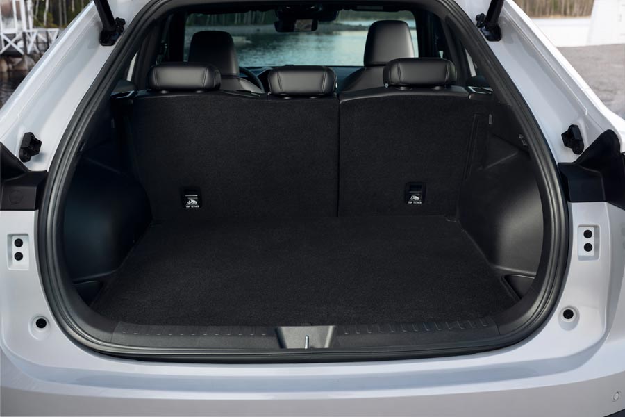   Haval F7x.  Haval F7x