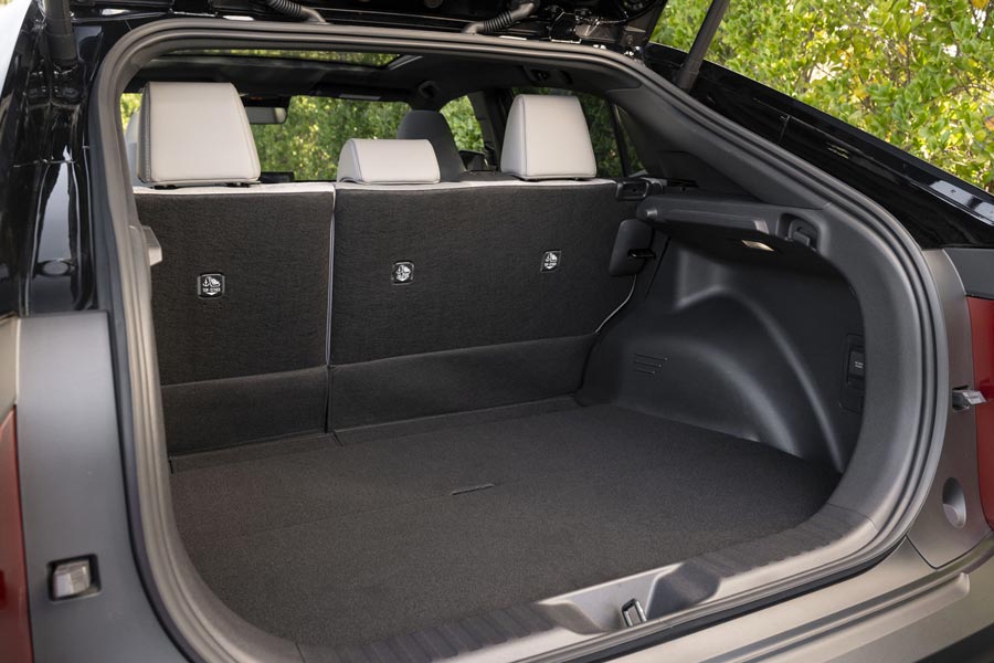 ���� ������ Toyota C-HR Plus. �������� Toyota C-HR Plus