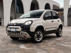 Fiat Panda 4x40 Limited Edition.  Fiat 