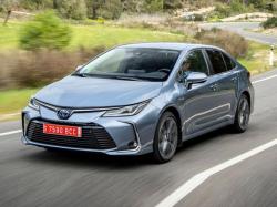 ���� ������������������