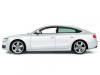 Audi A5 Sportback.    autoweek.nl