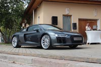 Audi R8  .  CarExpert.ru