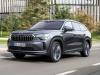 Skoda Kodiaq. ���� Skoda