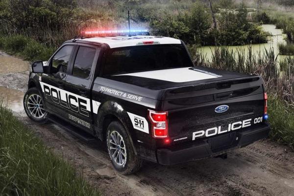 Ford  F-150     - 1