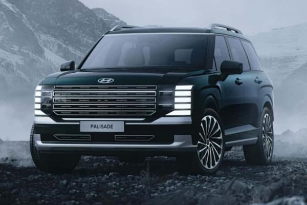  Hyundai Palisade    - 3