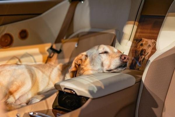  Rolls-Royce Spectre   - 3