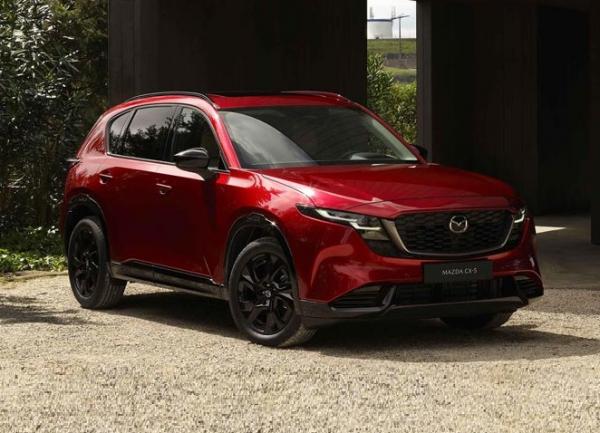 ���� ������������������