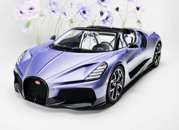 Bugatti W16 Mistral Caroline. Фото Bugatti