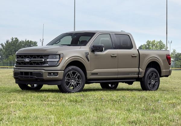 Ford F-150 Carhartt. Фото Ford
