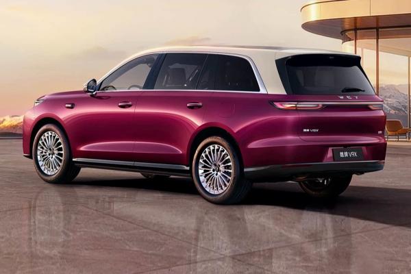 Great Wall  ������� ������� �� Wey V9X - 4