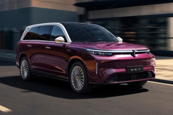 Great Wall  ������� ������� �� Wey V9X - 5