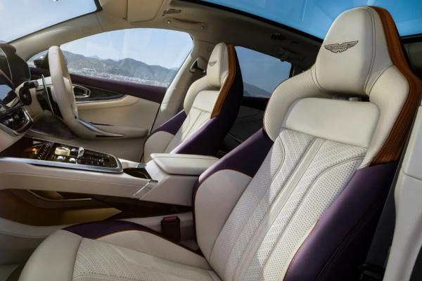 Aston Martin ������� �������� ���������� DBX  - 3
