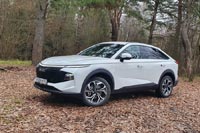 ����-����� Haval F7x - 31