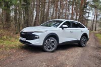 ����-����� Haval F7x - 38